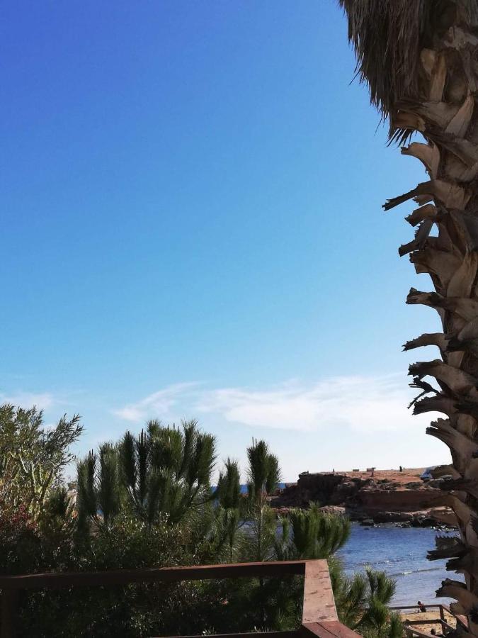 Perfect For Exploring Local Areas And More Torrevieja Exteriér fotografie