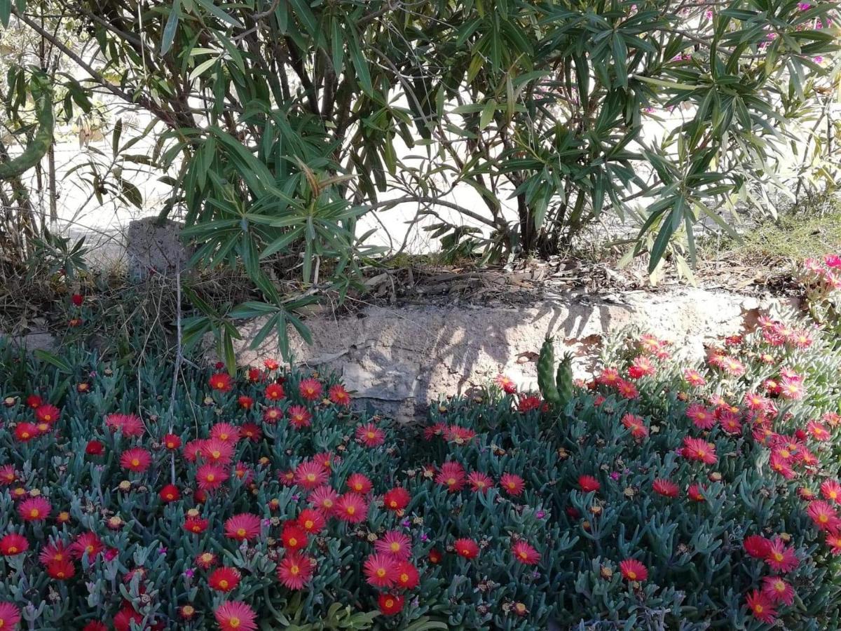 Perfect For Exploring Local Areas And More Torrevieja Exteriér fotografie